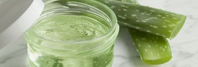aloe vera benefices