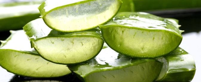 aloe vera pulpe
