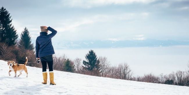 balade neige hiver pendre soin