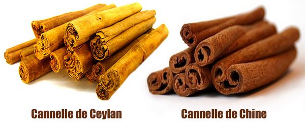 cannelle casse chine ceylan