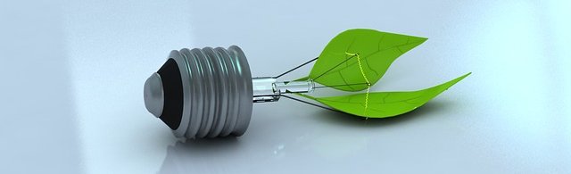 economie energie lampe feuille