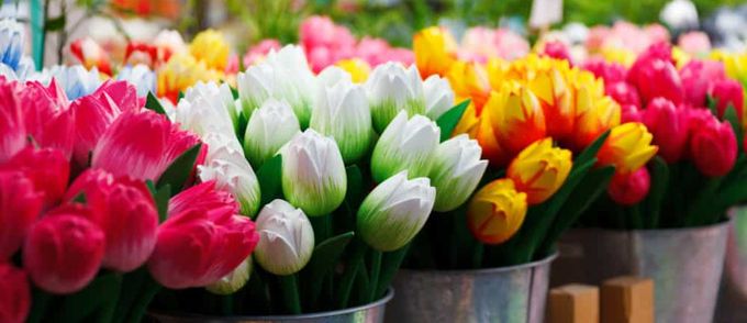fleurs coupees