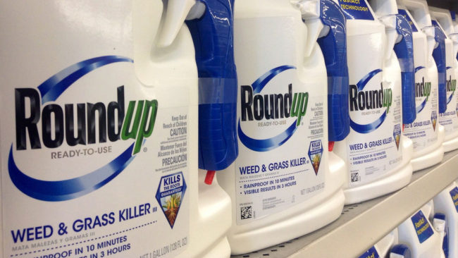 glyphosate roundup