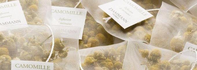 infusions pour aider la thyroide camomille