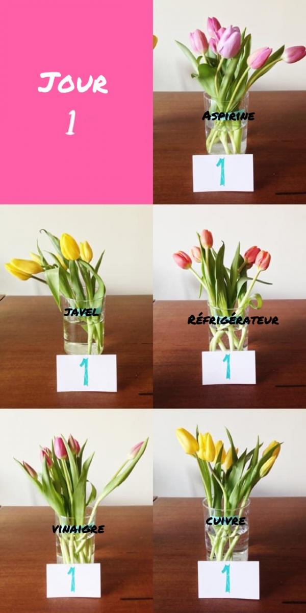 jour 1 test methode fraicheur fleurs