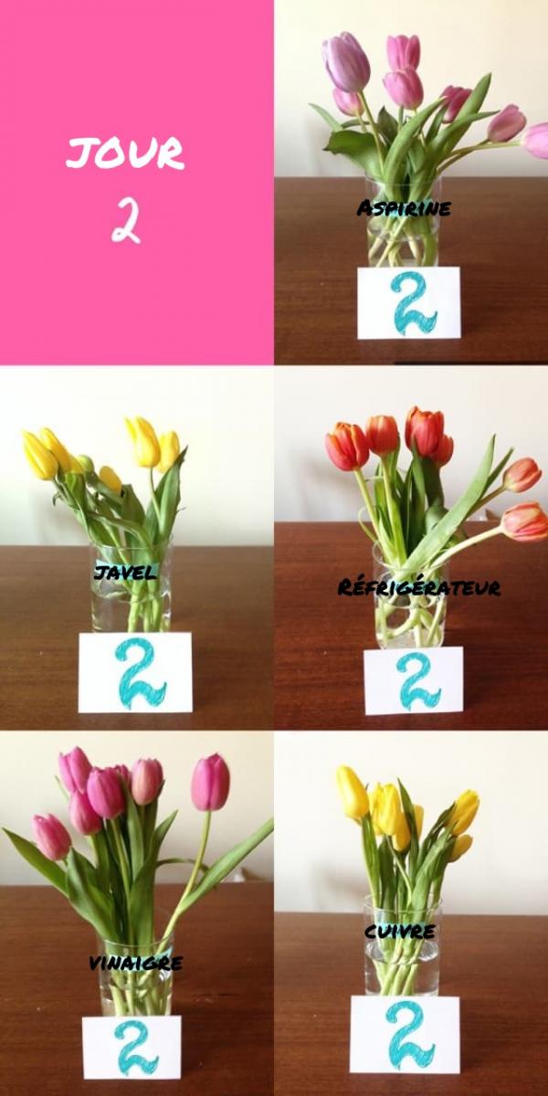 jour 2 test methode fraicheur fleurs