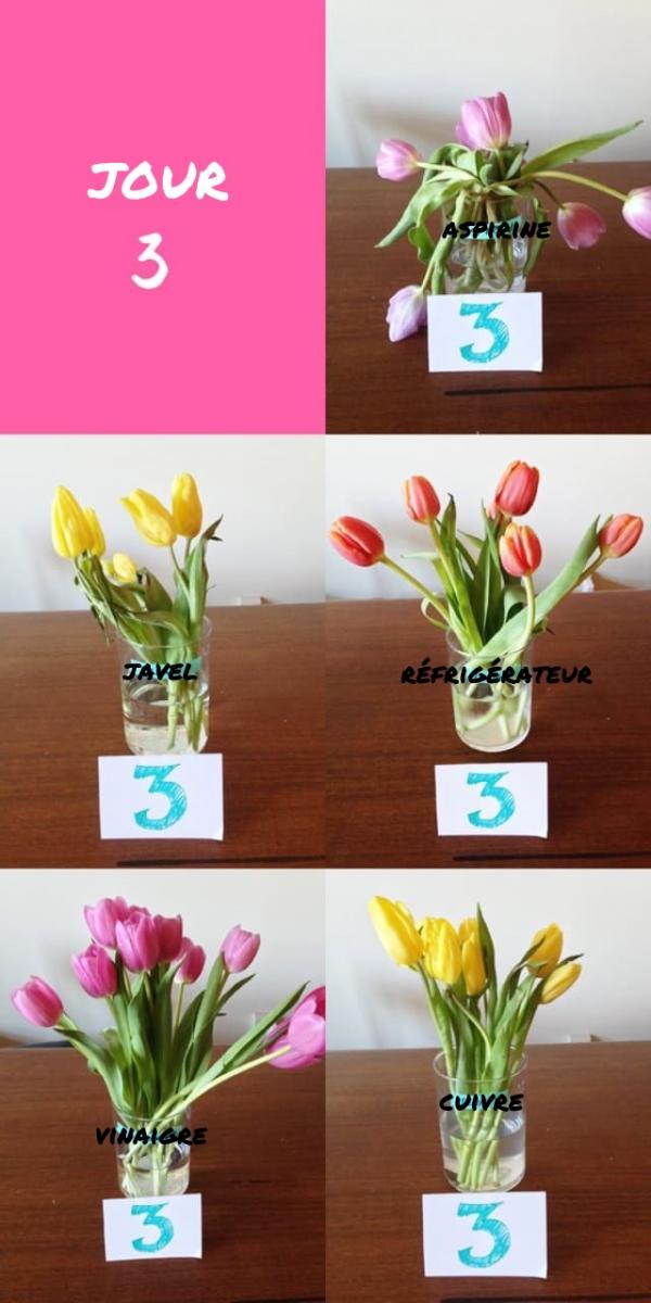 jour 3 test methode fraicheur fleurs