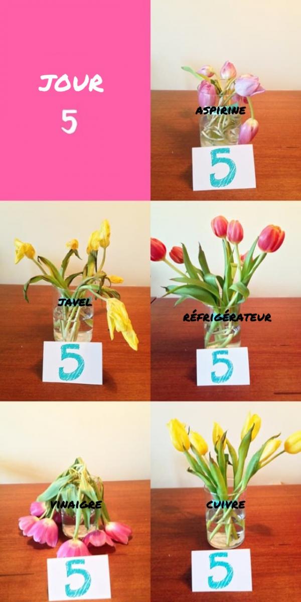 jour 5 test methode fraicheur fleurs