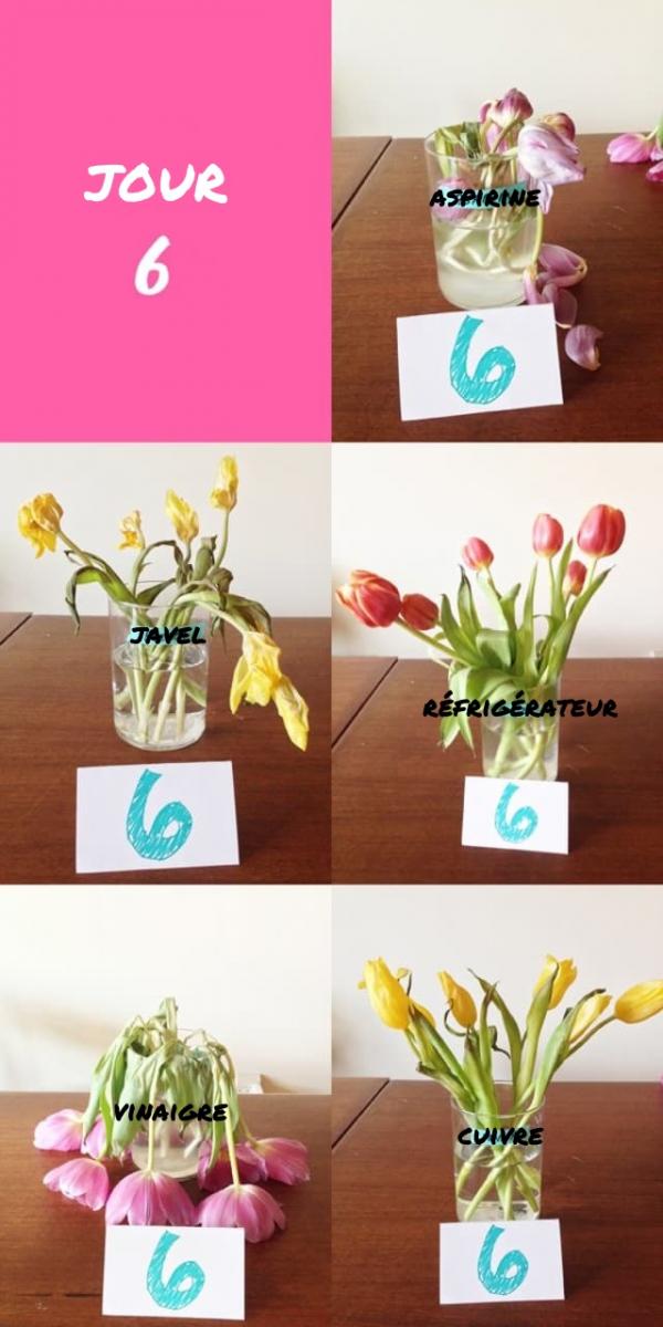 jour 6 test methode fraicheur fleurs