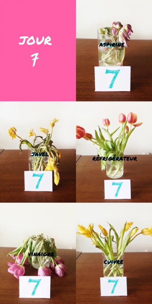 jour 7 test methode fraicheur fleurs