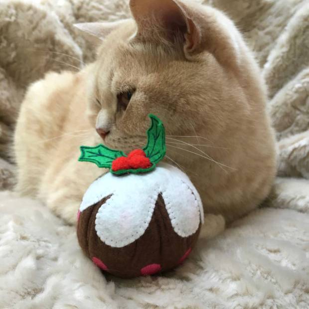 noel animaux chat pudding