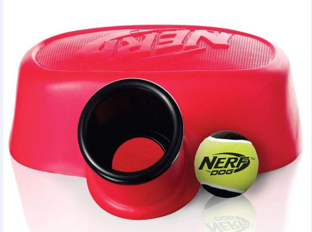 noel animaux nerf dog