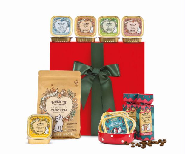 noel animaux pate chat