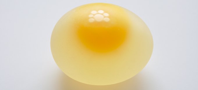 oeuf cru sans coquille