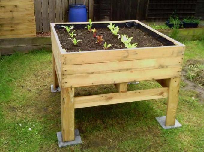 palettes jardinage