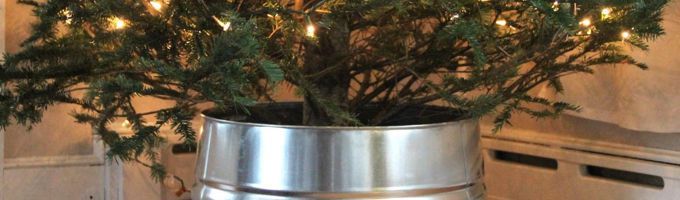 sapin de noel eau