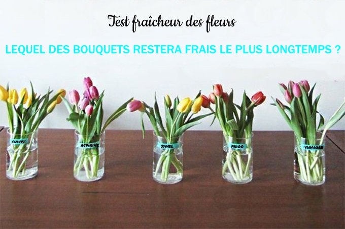 test fraicheur fleurs