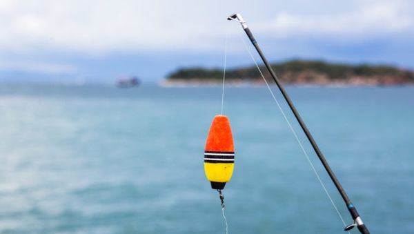 wd40 demeler ligne de peche
